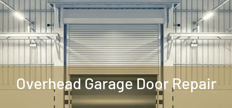  Overhead Garage Door Repair 